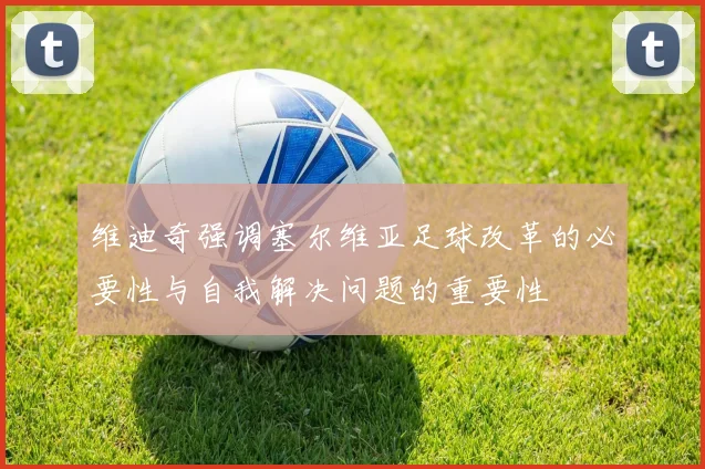 维迪奇强调塞尔维亚足球改革的必要性与自我解决问题的重要性