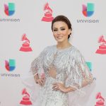 Angelique Boyer Net Worth